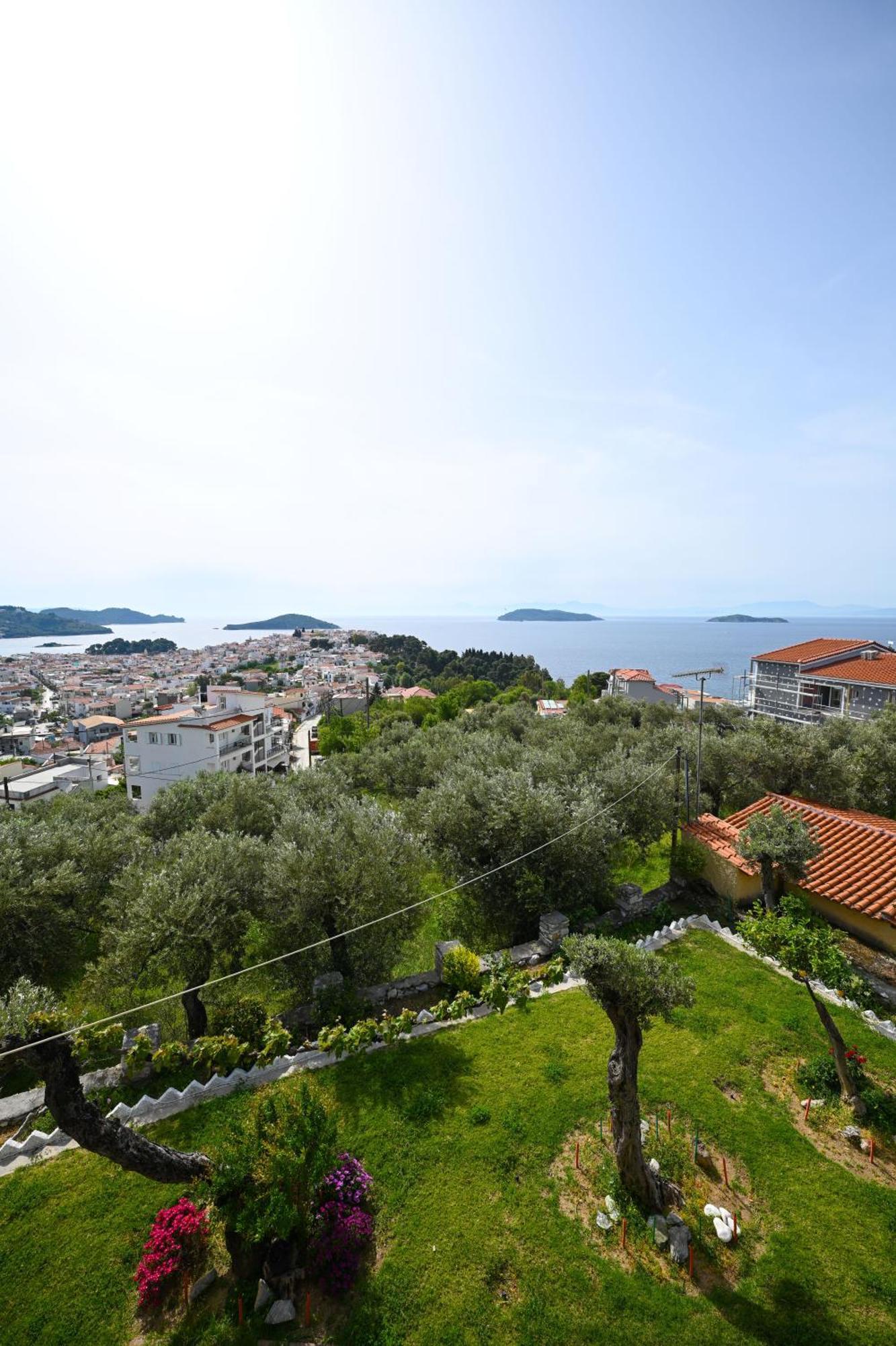 Makis Sea View Studios Скиатос Екстериор снимка